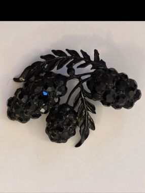 Vintage Antique Black Rhinestone Fruit Salad Brooch Pin Japanned Berries READ